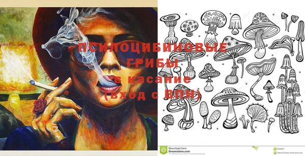 PSILOCYBIN Кулебаки