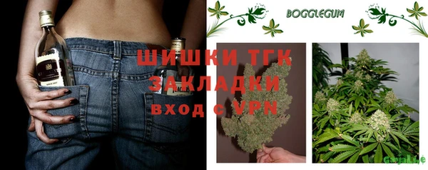 PSILOCYBIN Кулебаки